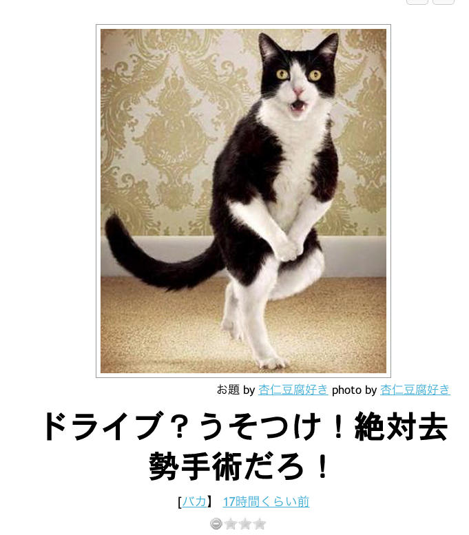 猫だけをまとめたボケて 笑いすぎるので人が多い場所では閲覧注意です まとめいく Matomake
