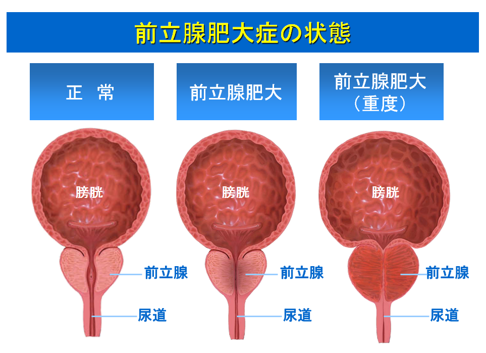 その他のよくある質問