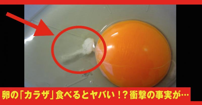 卵のカラザは食べてるとヤバい あなたは取り除く 驚きの効果も まとめいく Matomake